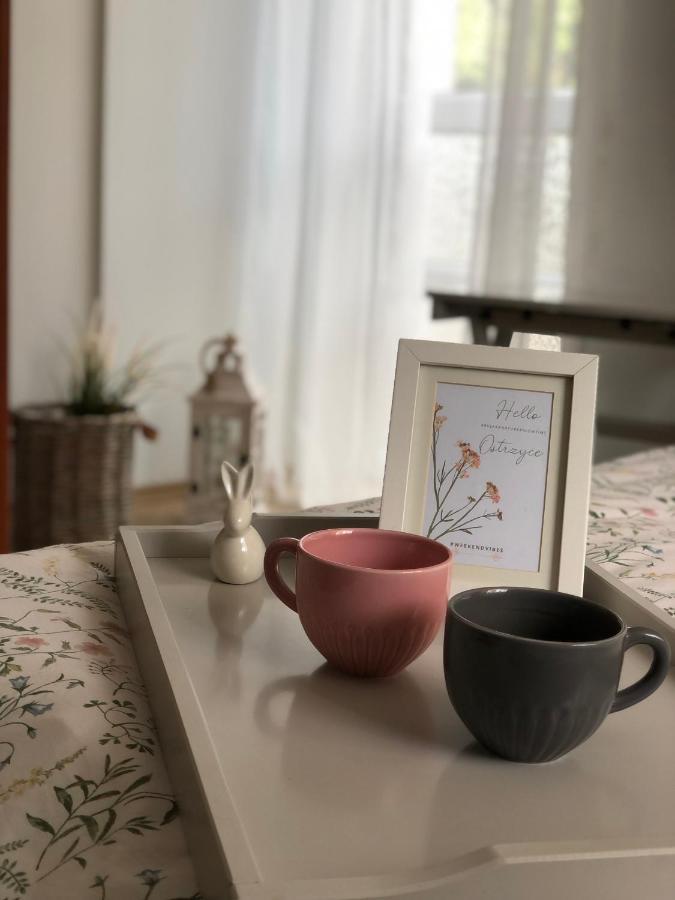 Pokoje Agroturystyczne U Hani Ostrzyce Eksteriør bilde